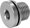 Low-Pressure Iron and Steel Threaded Pipe Fittings