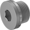 Pipe Plugs