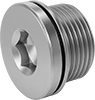 Pipe Plugs