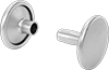 Rivets