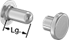 Rivets