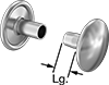 Rivets