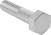 Hex Head Screws