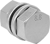 Hex Head Screws