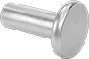 18-8 Stainless Steel Flat Head Solid Rivets