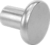 18-8 Stainless Steel Flat Head Solid Rivets