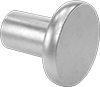 18-8 Stainless Steel Flat Head Solid Rivets