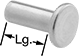 Image of Product. Front orientation. Contains Annotated. 18-8 Stainless Steel Flat Head Solid Rivets.