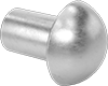 18-8 Stainless Steel Domed Head Solid Rivets 