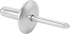 Aluminum Large-Diameter Domed Head Blind Rivets
