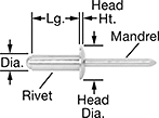 Image of Product. Side1 orientation. Contains Annotated. Aluminum Domed Head Blind Rivets.