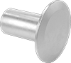 Rivets