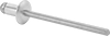 Rivets