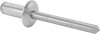 Rivets