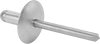 Zinc-Plated Steel Large-Diameter Domed Head Blind Rivets 