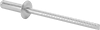 Rivets