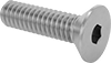 Flat Head Screws