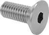 Flat Head Screws