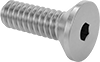 Flat Head Screws