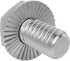 Stainless Steel Serrated-Flange Hex Head Screws