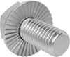 Stainless Steel Serrated-Flange Hex Head Screws
