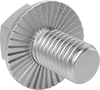 Stainless Steel Serrated-Flange Hex Head Screws