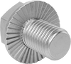 Stainless Steel Serrated-Flange Hex Head Screws