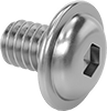Stainless Steel Flanged Button Head Hex-Drive Screws