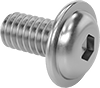 Stainless Steel Flanged Button Head Hex-Drive Screws
