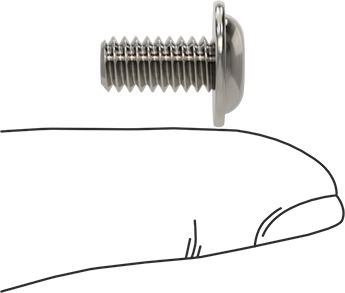 Image of Product. Side1 orientation. Contains SizingReference. 18-8 Stainless Steel Flanged Button Head Screw, 1/4"-20 Thread, 1/2" Long.