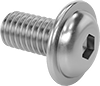 Stainless Steel Flanged Button Head Hex-Drive Screws