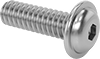 Stainless Steel Flanged Button Head Hex-Drive Screws
