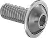 Stainless Steel Flanged Button Head Hex-Drive Screws