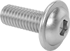 Stainless Steel Flanged Button Head Hex-Drive Screws