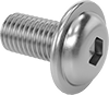 Stainless Steel Flanged Button Head Hex-Drive Screws