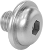 Stainless Steel Flanged Button Head Hex-Drive Screws