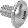 Rounded Head Screws