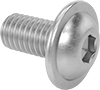 Rounded Head Screws