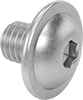 Rounded Head Screws