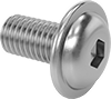 Stainless Steel Flanged Button Head Hex-Drive Screws