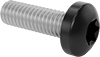 Steel Pan Head Torx Screws