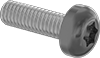 Metric Painted Steel Pan Head Torx Screws