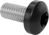 Steel Pan Head Torx Screws