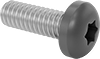 Steel Pan Head Torx Screws