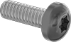Painted Steel Pan Head Torx Screws