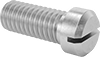 Stainless Steel Cheese Head Slotted Screws