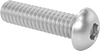 Rounded Head Screws
