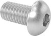 Rounded Head Screws