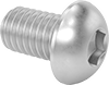Rounded Head Screws
