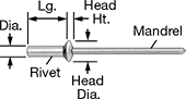 Image of Product. Front orientation. Contains Annotated. Aluminum Domed Head Sealing Blind Rivets with Plastic Seal.